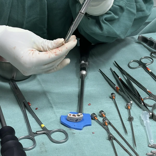 Instrumentais de endoscopia de coluna